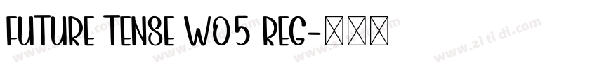 Future Tense W05 Reg字体转换